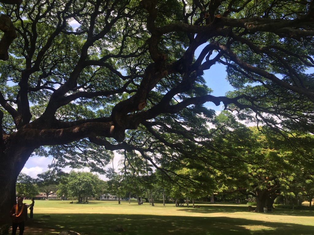 楽しく受けることができました