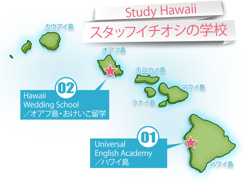 study hawaii スタッフイチオシの学校